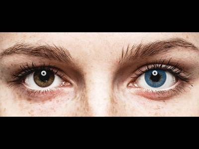 FreshLook Dimensions Pacific Blue - Graduadas (6 Lentillas)