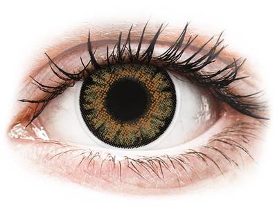 ColourVue One Day TruBlends Rainbow 1 - Sin graduación (10 lentillas) - ColourVue One Day TruBlends Rainbow 1 -  Brown