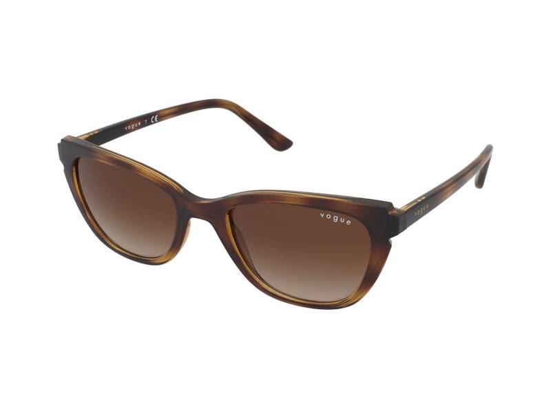 Gafas de sol Vogue VO5293S W65613 