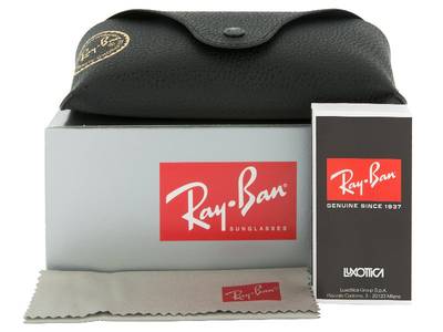 Gafas de sol Gafas de sol Ray-Ban RB4181 - 601/9A POL - Preivew pack (illustration photo)