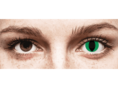 CRAZY LENS - Cat Eye Green - Diarias sin graduación (2 Lentillas)