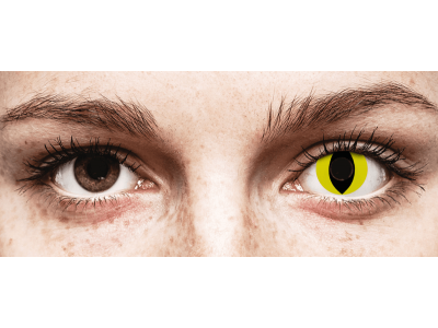 CRAZY LENS - Cat Eye Yellow - Diarias sin graduación (2 Lentillas)