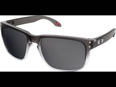 Oakley Holbrook OO9102 9102O2