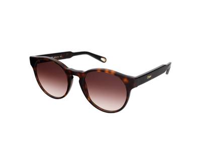 Gafas de sol Chloe CE753S 219