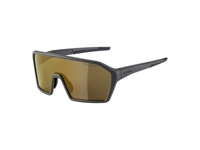 Gafas de sol Alpina Ram HM+ Coffeegrey Matt/Gold Mirror