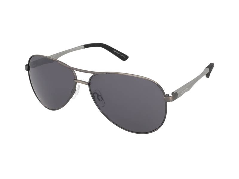 Gafas de sol Alpina A 107 Titanium Matt/Black Mirror 