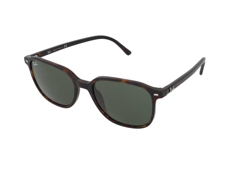 Gafas de sol Ray-Ban Leonard RB2193 902/31 
