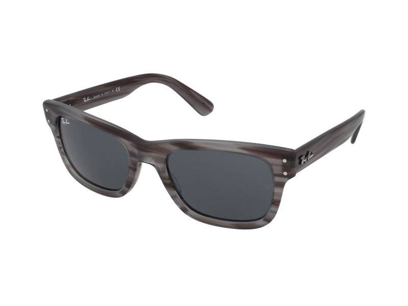 Gafas de sol Ray-Ban Mr Burbank RB2283 1314R5 
