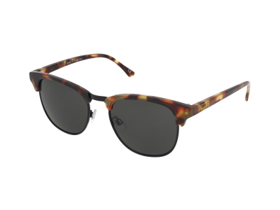 Gafas de sol Vans MN Dunville Sha MBRWN