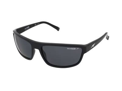 Gafas de sol Arnette Borrow AN4259 41/81