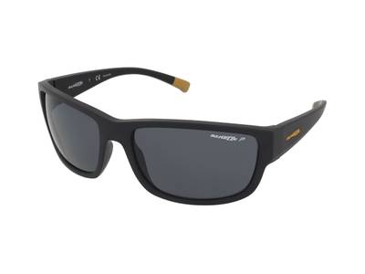 Gafas de sol Arnette Bushwick AN4256 01/81