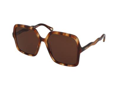 Gafas de sol Chloe CH0086S 005