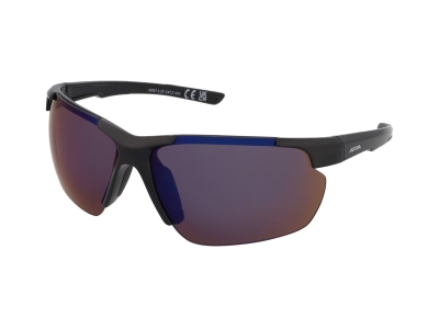 Gafas de sol Alpina Defey HR Black 