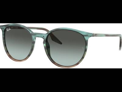 Ray-Ban RB2204 1394GK